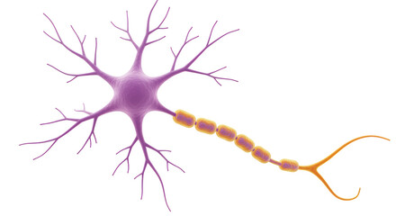 Isolated Neuron Cell