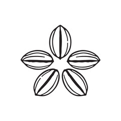 Organic Cacao Beans Hand Drawn Art for Natural Products