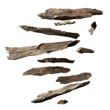 Driftwood pieces isolated on black