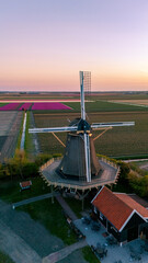 Breathtaking tulip fields with windmill at sunset in the Netherlands