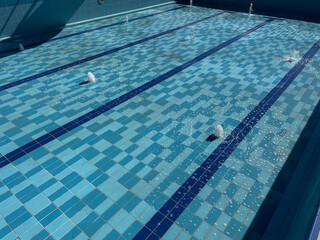 Obraz premium Dirty water in the hotel's summer pool. Cleaning the pool by water filtration.