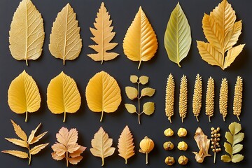 Golden autumnal foliage and seed heads arranged on dark background