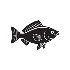 fish on a white background