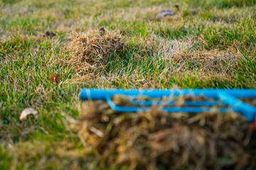 A pile of dry grass scraped from the lawn on a background of garden tools. Cleaning the grass after...