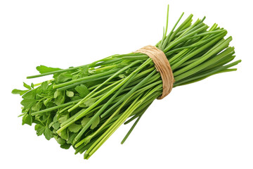 Fresh vibrant chives tied with twine bright green herb bunch isolated on white background perfect