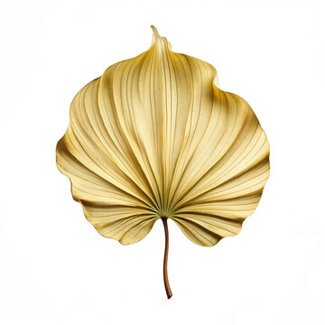 A golden leaf with intricate folds, resembling the elegance of natural patterns, captured with a high level of detail.