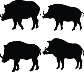 Black and White Wild Boar Silhouettes in Minimalist Vector Style – Four Side View Profiles with Bold Outlines and Vintage Natural History Woodcut Aesthetic for Wildlife Art Design