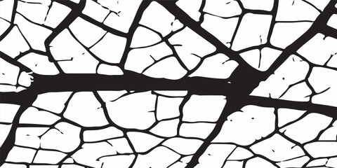 Fototapeta premium White black grey wall, floor with cracks, texture background.abstract,splattered , dirty,poster for your design.