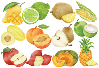 Watercolor Tropical Fruit Clip Art Set Hand Painted Mango Apple Coconut Pineapple Corn Pear Pumpkin Peach Illustration
