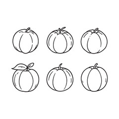 Simple mandarin outline illustration for organic product label