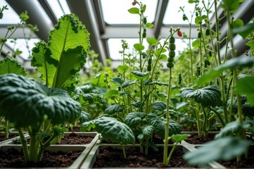 Lush greenhouse vegetation under skylights with leafy green plants and ripening berries