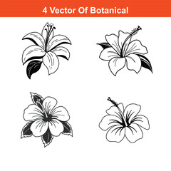 Hibscus Flower Continuous Line Drawing with Editable Stroke,Black and white hibiscus flowers, branch, leaf