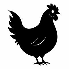 Hen vector silhouette on white background