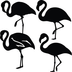Black and White Flamingo Silhouettes – Minimalist Stylized Bird Vector Illustration with Elegant Curves, Symmetrical Composition, and Tropical Decorative Art Design