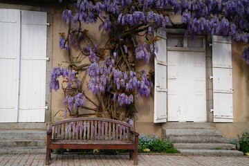 Banc   glycine
