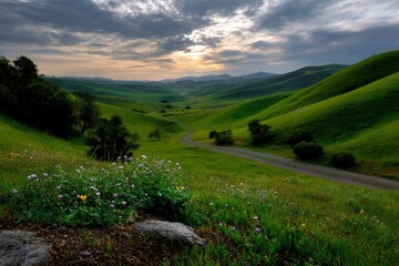 Green Rolling Hills Landscape with Clouds and Path