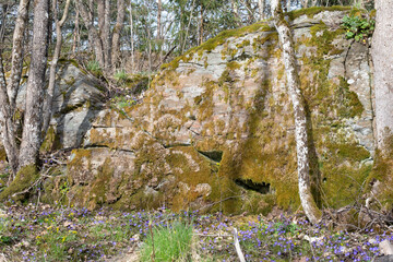 Natural state grove