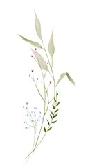 Watercolor floral bouquet arrangement. Meadow red, blue forget-me-not flowers, green wild branches, sage leaves, herbs. Hand drawn style illustration. Artistic template design.