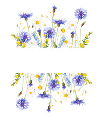 Watercolor floral horizontal border frame. Meadow blue cornflowers, yellow wild flowers, chamomiles, green branches, leaves. Hand drawn style illustration. Artistic template design.
