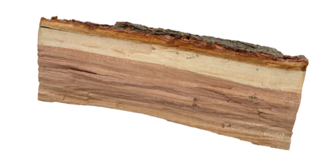 A piece of larch wood isolated.