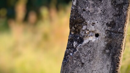 Close-Up of Weathered Concrete Post with Hole