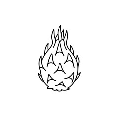 Pitahaya icon representing the concepts of tropical fruits and exotic superfoods