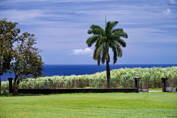 Martinique