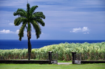 Martinique