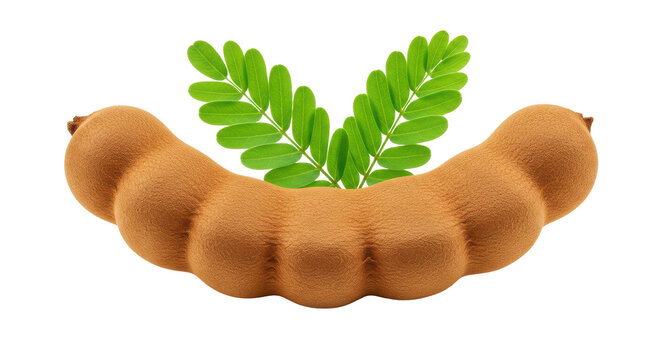 Isolated Tamarind Fruit