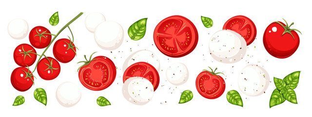 Caprese salad. Tomatoes, mozzarella cheese, basil. Salad ingredients. Vector illustration on a white background.