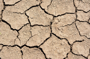 Cracked Earth Surface in a Drought-Stricken Landscape
