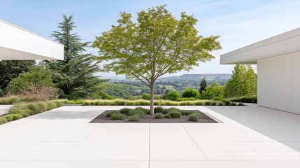 Fototapeta premium Modern Courtyard with Tree and Panoramic View