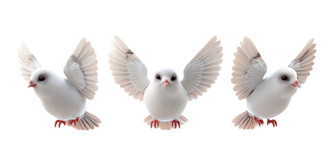 Fototapeta premium Three fluffy white doves are captured in mid-flight poses showing wings spread out against a bright background for peace concepts.