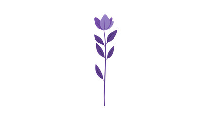 Obraz premium A simple purple flower illustration.
