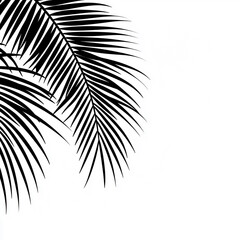Minimalist Palm Leaf Silhouette on White Background