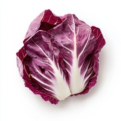 Fototapeta premium Close Up of Fresh Red Radicchio on White Background