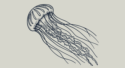 "Hand Drawn Vector Illustrations of Animals, Sea Creatures, Fruits, and Fast Food in Bold Ink Style