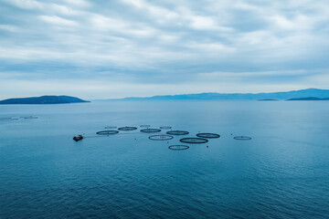 Aquaculture floating fish farming, Aerial view. industry produce a sustainable animal protein