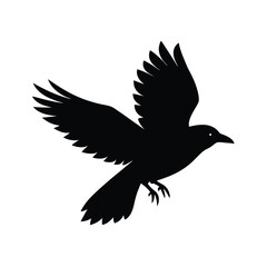 Fototapeta premium Crow in Flight Silhouette Vector Smooth Lines 10