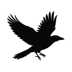 Fototapeta premium Crow in Flight Silhouette Vector Smooth Lines 11