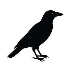 Fototapeta premium Crow Perched Silhouette Vector Clean and Striking 5