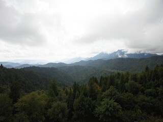 Obraz premium Tuscan Mountain Majesty: Cloudscape Over Treed Peaks
