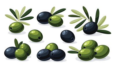 Green and black olives set. Olive twigs with leaves. Vector illustrations.