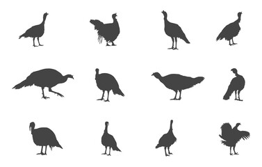 Turkey svg, Turkey silhouettes, Turkey animal svg, Turkey animal silhouette, Turkey vector, Turkey logo.