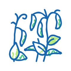 plant peas icon doodle illustration