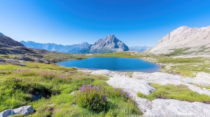 Naklejka premium Alpine lake nestled in a high mountain meadow. Serene alpine scenery with wildflowers and a crystal-clear lake. Picturesque mountain vista under a vibrant blue sky