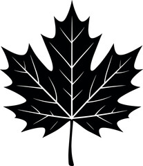 Maple Leaf vector black silhouette print design