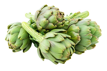 Obraz premium Fresh Green Artichokes Close Up Studio Shot Healthy Food Still Life Nature Photography Vegetables