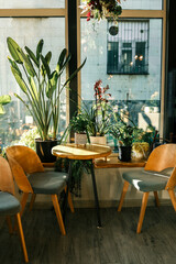 Cozy sunlit cafe corner with wooden chairs, round tables, and lush indoor plants by large windows, creating a warm and inviting atmosphere for relaxation or work