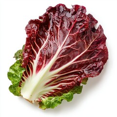 Obraz premium Closeup of a Single Red Leaf Lettuce on White Background